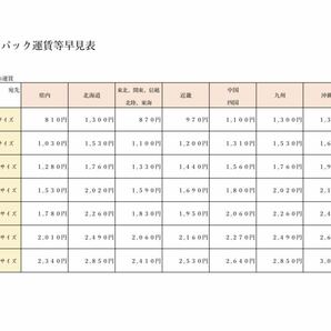 (4-50) Max Mara マックスマーラ ショルダーバッグ トートバッグ バッグ レディース 型押しクロコダイル クロコ レッド 赤の画像9