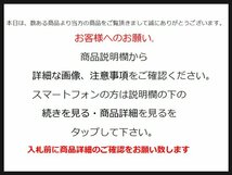 篠原有司男 Go Go Girl and Dog シルクスクリーン 額装 1976年 専用箱 師林武 文化庁長官表彰 ボクシング・ペインティング s24040101_画像10