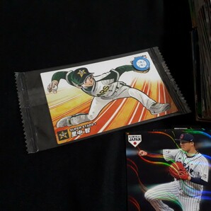 希少 Calbee カルビー プロ野球 カード 約2kg 大量まとめセット キラ ノーマル TP TITLE HOLDER 侍JAPAN 他の画像6