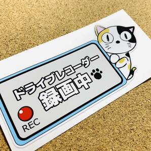 ねこ ドライブレコーダー録画中ステッカー 選べる毛色！ ドラレコ 猫 ねこ ひょっこり♪ かわいい オリジナルの画像4