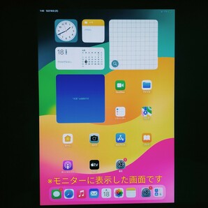 【ジャンク】Apple iPad Pro 11インチ 第1世代 Wi-Fi 64GB MTXN2J/A スペースグレイの画像3