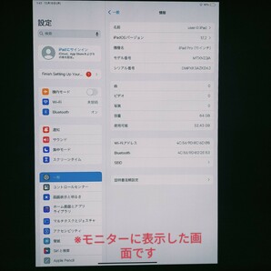 【ジャンク】Apple iPad Pro 11インチ 第1世代 Wi-Fi 64GB MTXN2J/A スペースグレイの画像4