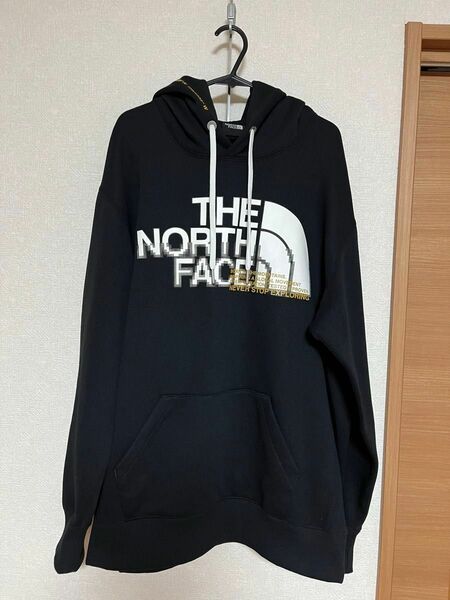 THE NORTH FACE ノースフェイス　パーカー　メンズ　L