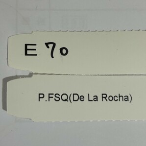 E70、P. FSQ (De la Rocha) OC pup 子株 大きめ 株分け の画像5
