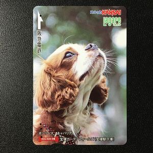 2009年4月1日発売柄ー犬シリーズ「キャバリア(宝塚ガーデンフィールズ)」ー阪急ラガールカード(使用済スルッとKANSAI)