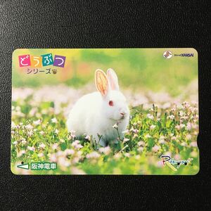 阪神/動物シリーズカード「うさぎ(どうぶつ3)」ーらくやんカード(使用済スルッとKANSAI)