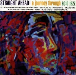 貴重廃盤 Straight Ahead a Journey Through Acid Jazz the brand new heavies jtq terry callier snowboy robbie gordon 