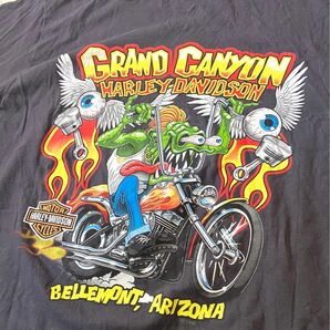 HARLEY DAVIDSON ハーレーダビッドソン　Tシャツ　made in Haiti 半袖Tシャツ