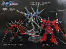 限定クリアカラー　全塗装キラ蛍光発色仕上げ　完成品　HGライジングフリーダムガンダム　フリーダム　ガンプラ　SEED_画像10