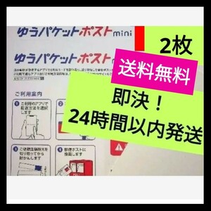 最安！送料無料！！24時間以内即日発送！【３時間以内の決済完了必須】 ゆうパケットポストmini 専用封筒 ２枚 封筒 ポイント消化！