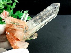 「在庫処分」◆超強いパワーヒマラヤ産天然水晶クラスター177B6-33B60b