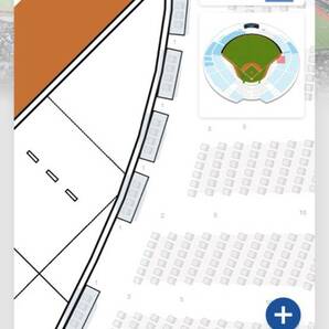 6月1日（土）西武ライオンズ対読売ジャイアンツ ベルーナドーム 内野指定席B 2枚連番 通路側 ペアチケットの画像1