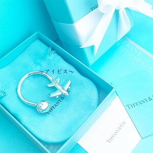  new goods gift wrapping Tiffany plain key ring 