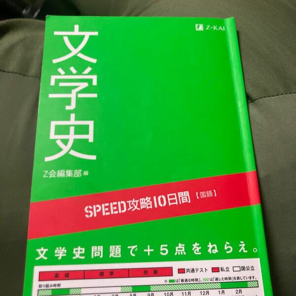 国語　文学史 （ＳＰＥＥＤ攻略１０日間） Ｚ会出版編集部