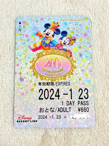 ディズニー　40周年　リゾートライン　グランドフィナーレ　初日の日付☆ 穴なし　 フリーきっぷ　リゾラ　フリー切符