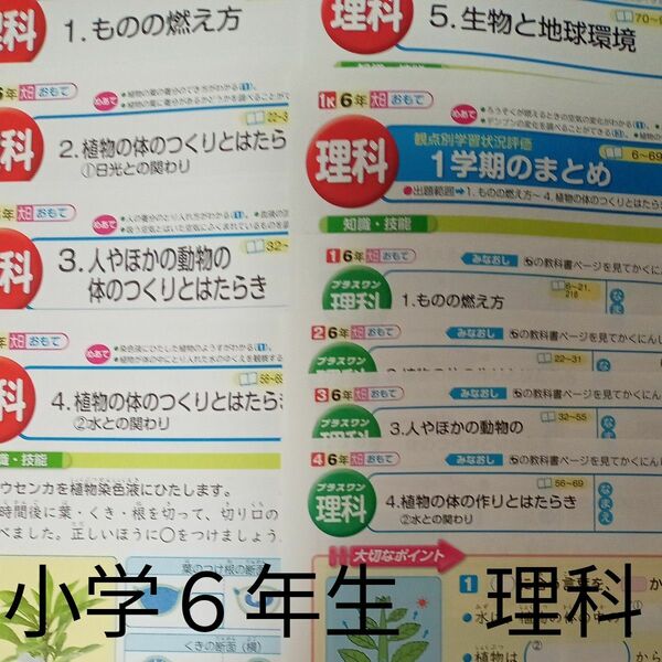 小学６年生　理科　カラー　テスト　プリント　大日本図書　教育同人社　最新　予習　復習　家庭学習