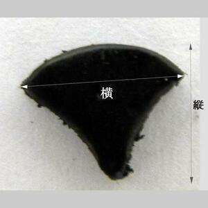 即決☆シェイプパンチ☆抜き型☆扇形☆6*5ｍｍ☆Z