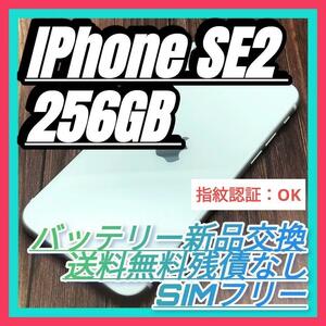 iPhone SE 第2世代 WHITE 256GB 大容量バッテリー新品