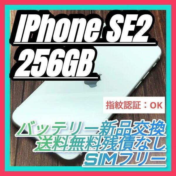 iPhone SE 第2世代 WHITE 256GB 大容量バッテリー新品