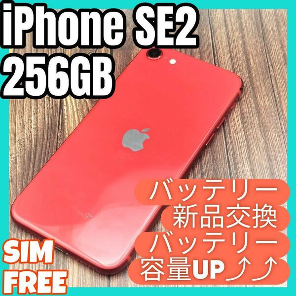 iPhone 第2世代 (SE2) RED 256GB 大容量バッテリー新品交換