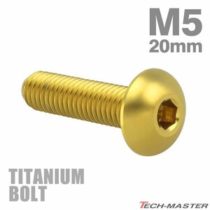 M5×20mm P0.8 64チタン合金 トラスヘッド 六角穴付き ボタンボルト ゴールドカラー 車/バイク/自転車 1個 JA899