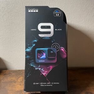 【超お得セット】Gopro hero 9 Black 