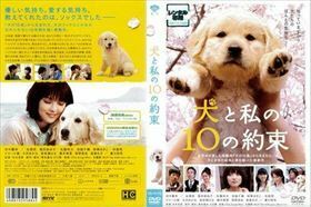 犬と私の１０の約束 DVD※同梱8枚迄OK！ 7h-0680