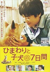 ひまわりと子犬の７日間 DVD※同梱8枚迄OK！ 7i-1344