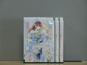 「きみを愛する気はない」と言った次期公爵様がなぜか溺愛してきます 3巻【全巻セット】水埜なつ 2x-0114