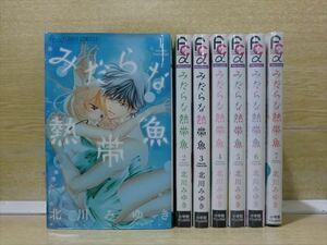 みだらな熱帯魚 7巻【全巻セット】北川みゆき★120冊迄同梱ok★ 2z-2839