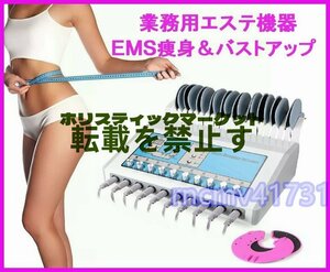 人気推薦 エステ業務用EMS痩身マシン ボディ痩身＆バストアップ育乳 新品 美容機器