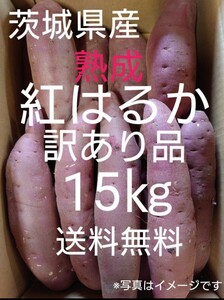 茨城県産熟成さつまいも人気品種《紅はるか》訳あり品サイズ不揃い（15kg）送料無料