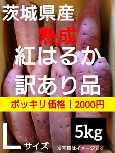 茨城県産熟成さつまいも人気品種《紅はるか》訳あり品Lサイズ（5kg）送料無料（2）