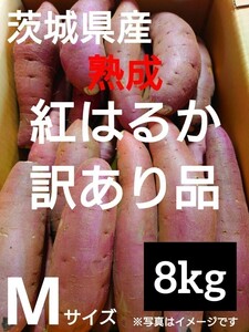 茨城県産熟成さつまいも人気品種《紅はるか》訳あり品Mサイズ（8kg）