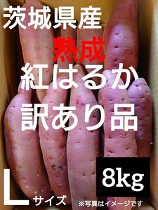 茨城県産熟成さつまいも人気品種《紅はるか》訳あり品Lサイズ（8kg）送料無料（1）