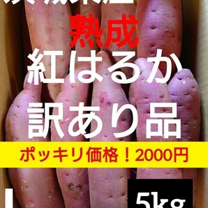 茨城県産熟成さつまいも人気品種《紅はるか》訳あり品Lサイズ（5kg）送料無料（4）の画像1