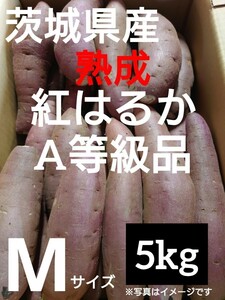 茨城県産熟成さつまいも人気品種《紅はるか》A等級品Mサイズ（5kg）送料無料（2）