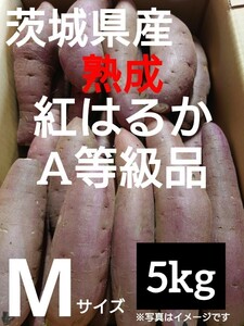 茨城県産熟成さつまいも人気品種《紅はるか》A等級品Mサイズ（5kg）送料無料（3）