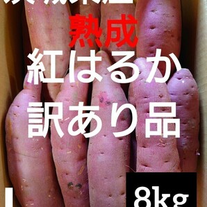【2000円〜スタート】茨城県産熟成さつまいも人気品種《紅はるか》訳あり品Lサイズ（8kg）の画像1