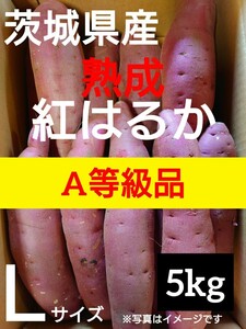 茨城県産熟成さつまいも人気品種《紅はるか》A等級品Lサイズ（5kg）送料無料（2）