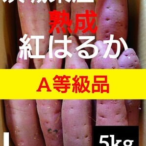 茨城県産熟成さつまいも人気品種《紅はるか》A等級品Lサイズ（5kg）送料無料（5）