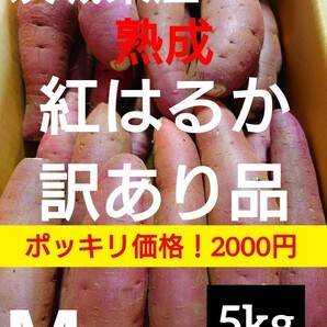 茨城県産熟成さつまいも人気品種《紅はるか》訳あり品Mサイズ（5kg）（3）