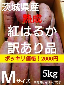 茨城県産熟成さつまいも人気品種《紅はるか》訳あり品Mサイズ（5kg）（5）