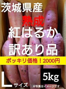 茨城県産熟成さつまいも人気品種《紅はるか》訳あり品Lサイズ（5kg）送料無料（5）