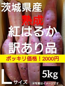 茨城県産熟成さつまいも人気品種《紅はるか》訳あり品Lサイズ（5kg）送料無料（1）