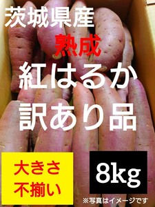 茨城県産熟成さつまいも人気品種《紅はるか》訳あり品サイズ不揃い（8kg）(2)