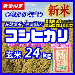 令和5年産 茨城県産 新米 コシヒカリ 玄米 24Kg 24キロ お米 うるち米 白米 精白米 精米無料 送料無料 b