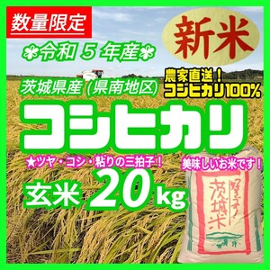 令和5年産 茨城県産 新米 コシヒカリ 玄米 20Kg 20キロ お米 うるち米 白米 精白米 送料無料 精米無料 a