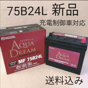 【新品 送料込み】75B24L バッテリー/沖縄、離島エリア不可/46B24L/500B24L/55B24L/60B24L/65B24L/等対応サイズの画像1