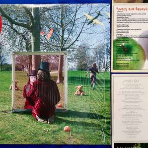 【2011年EUプレス初版 An Introduction to Syd Barrett 170g重量盤2LP シド・バレット 幽幻の世界 Pink Floyd】の画像1